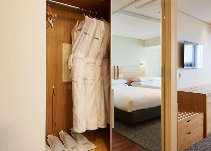 Hotel Nine Tree By Parnas Myeongdong 1 3*