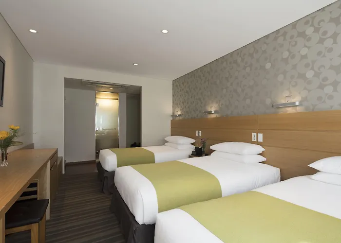 Nine Tree By Parnas Myeongdong 1 Hotel Seul
