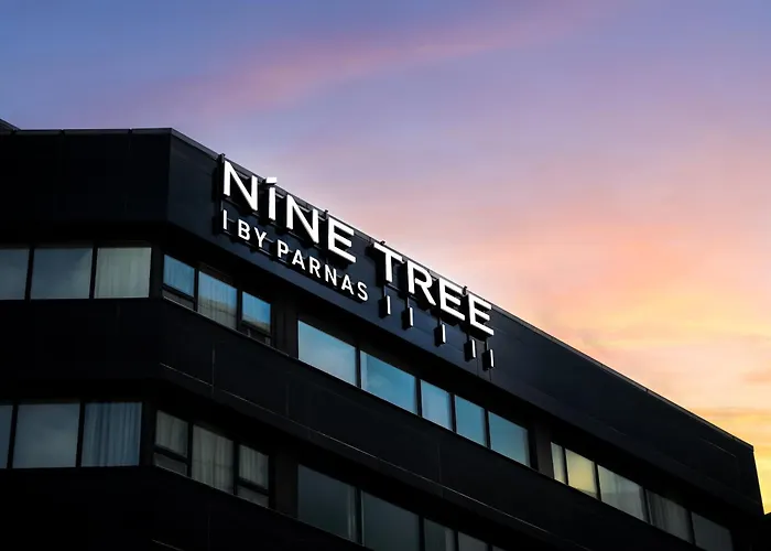 Hotel Nine Tree By Parnas Myeongdong 1 3*